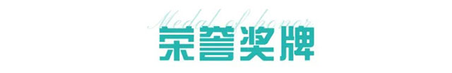 荣誉奖牌.jpeg